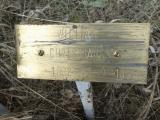 image of grave number 950419
